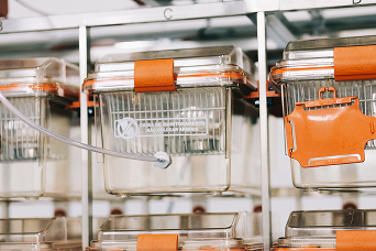 Caixa de Monitoramento