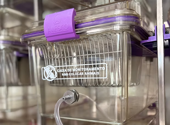 Caixa de Monitoramento