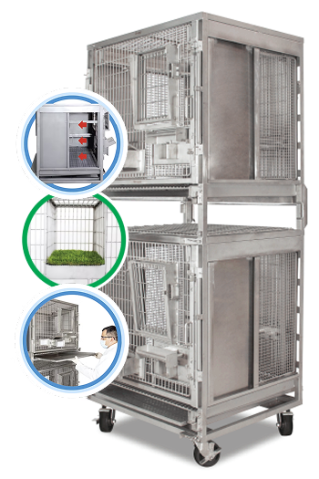 Características físicas e estruturais