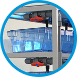 Vantagens e Características Zebrafish