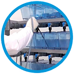 Vantagens e Características Zebrafish