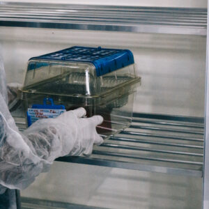 041A3B09-037E-4902-A381-E5E45C05F87E