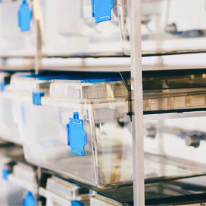 mini-isolador-cobaios (1)