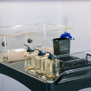 mini-isolador-cobaios (2)