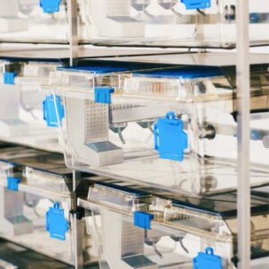 mini-isolador-cobaios (4)