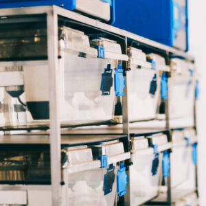 38977D91-10D1-4D6F-A087-35B2122A4702 (1)