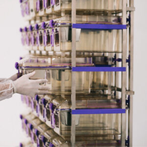 3E265B90-453F-40B5-BB6A-F2989190E19A (1)