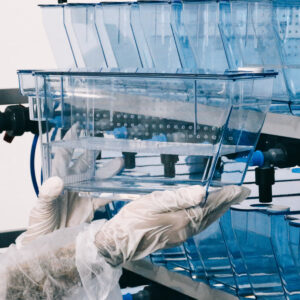 43E425CA-1AF9-4E04-9ADC-4C9A7629FED8