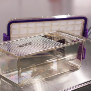 5031886E-73A0-495A-A5BB-525F1027D4FC (1)