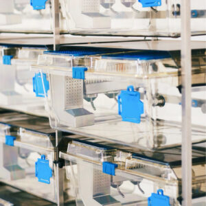 601D5040-1C12-4D33-924E-1CB997434DEE (1)