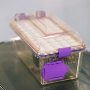 60345F30-42A0-4E43-A3F8-6B8AE79FD9FF (1)