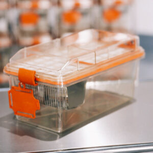 6355C335-90C6-47BC-AD24-F31AD86C21CF (1)