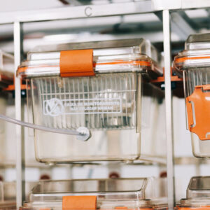 824DE4F3-EAAE-4ACC-A712-DAE6A904471B (1) (1)