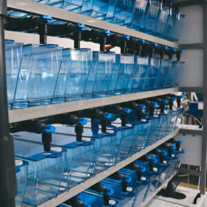 877CD2BF-0758-46BD-9A03-DBFFAABB7901