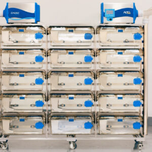 BA83A661-27DB-45B9-939D-F88EC6D5E12E