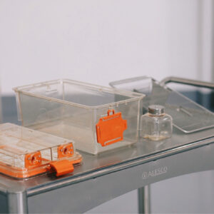 C40A877C-AE64-4942-B3C5-90CEBD32058E (1)