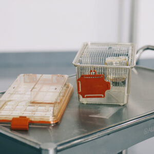 D7FA3D7D-0615-4FB1-B1B5-CDF818C33108 (1)