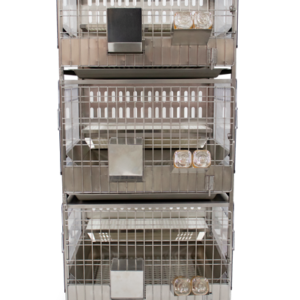 rack-euro-coelhos-(1)