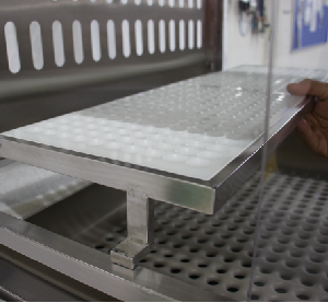 rack-euro-coelhos (2)