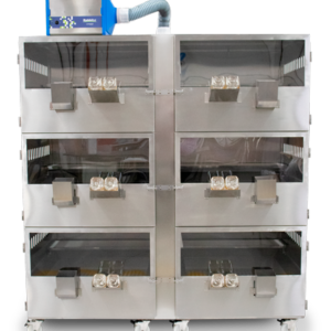 rack-euro-coelhos-(4)