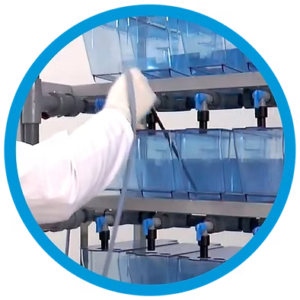 rack-hydrus-zebrafish (5)