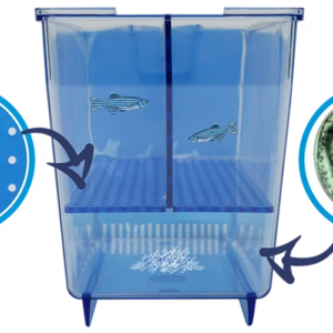 rack-hydrus-zebrafish (6)