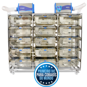 rack ivc para cobaios