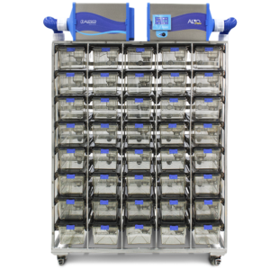 rack ivc plus camundongos